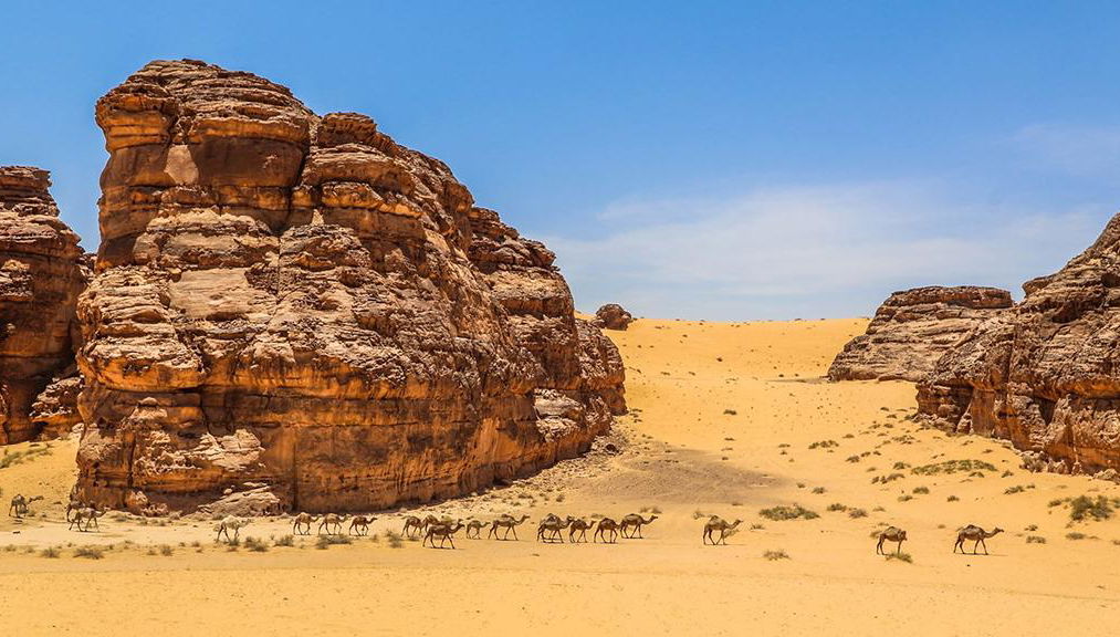 Visita Hegra con traslado opcional - Foto 1