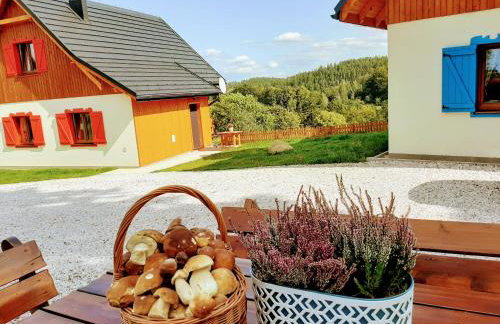 Kolorowe Karkonosze - Foto 36