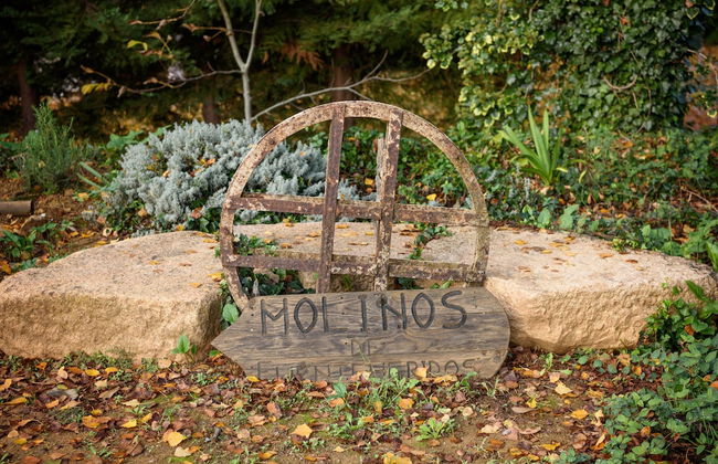 Molinos de Fuenteheridos - Photo 40