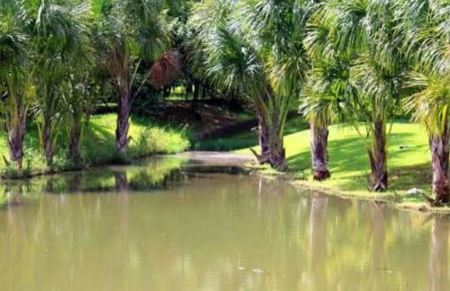 Casa de temporada - Foto 18