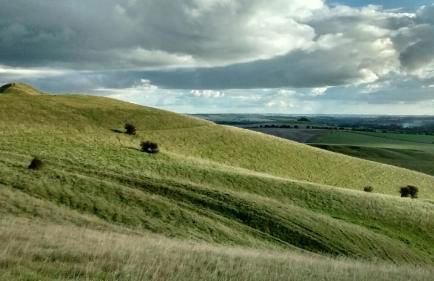 The Cottage - Photo 30