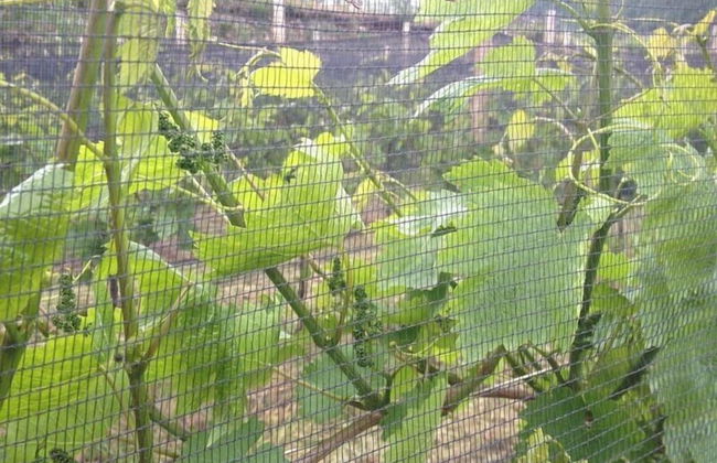 Agriturismo Al Vecchio Portico - Photo 53