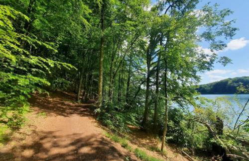 Pod Żurawiem Urokliwy domek na Kaszubach - Foto 62