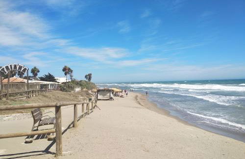 Sapphire Studio - Sea & Nature - Photo 38