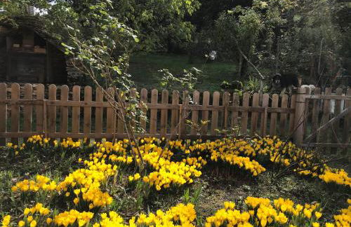 Presbytère de cassagnes - Foto 19