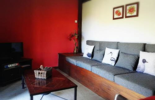 Finca Artienza - Foto 11