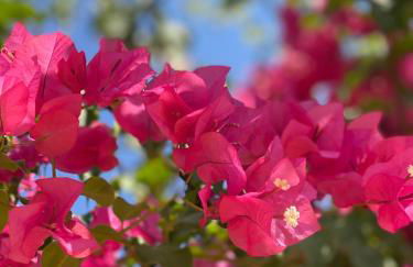 Apartament En La Sombra - Foto 40