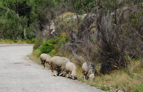 Casa de Ladreda - Foto 45