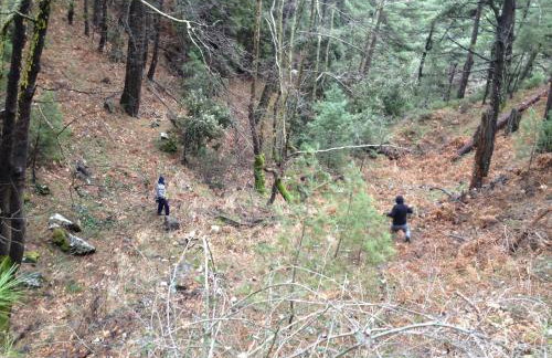 Jimmy's Place - Photo 77