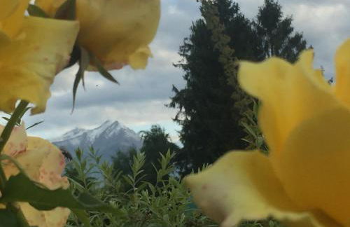 Happy hill - appartamento Quercia - natura e relax - Foto 29