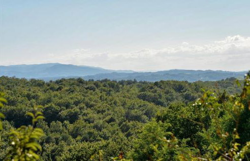 Beautiful Home In Kraljev Vrh With Wifi - Foto 16