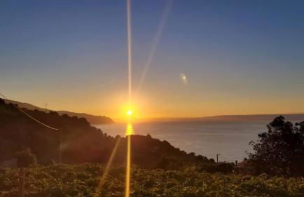 Faria's House 2 - Foto 2