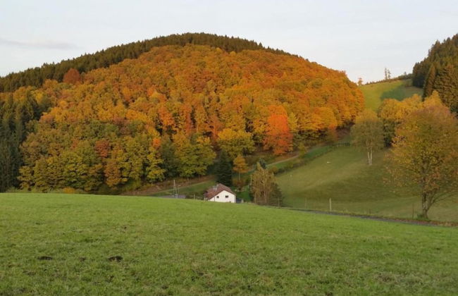 Apartment in Bruchhausen mit Terrasse - Foto 18
