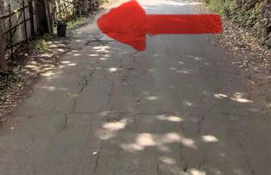 SP Golden House - Foto 25