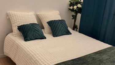 Appartement terrasse WIFI Chaines cablées 4 pers fac de droit Lille Moulins - Foto 2