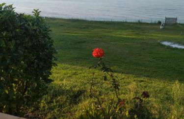 Luxury Beachfront Villa Poseidon Artemisiou Παραθαλάσσια Βίλα στην βόρεια Εύβοια για φιλοξενία 9 ατόμων - Foto 9