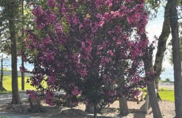 Little Blue Cottage - Photo 16