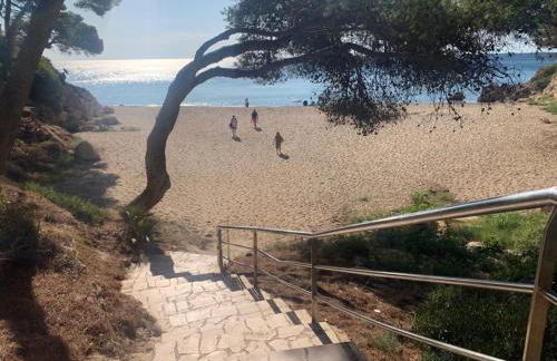 MIMOSAS VISTAS - Foto 17