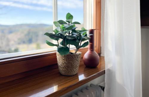 Feldberg Apartment mit Extrazimmer - Villa Hubertus - Foto 9