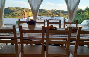 Natur Amêndoa - Foto 36