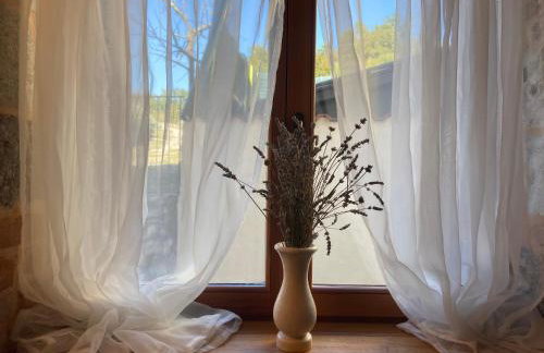 VILLA SALVIA - Holiday house with pool - - Foto 35