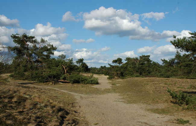 Terraced Home in Netherlands Near Veluwe - Foto 28