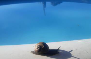 Casinha Nº461 - Foto 33