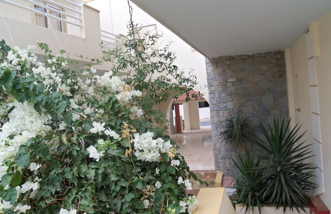 Ionio Star Hotel - Foto 52