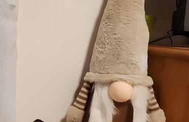 Le Flocon Petit Nid Douillet en Montagne - Photo 19