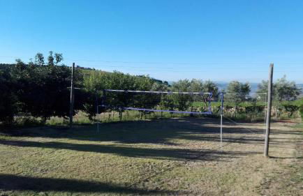 Quinta do Atoleiro - Photo 10