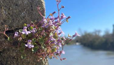 Gîte La Bergeronnette - Foto 2