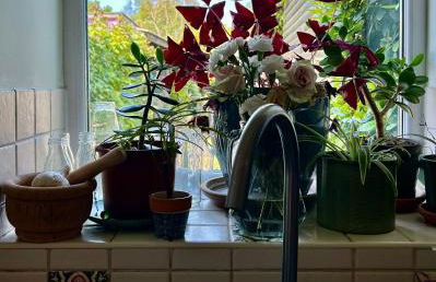 Mi Casa, Su casa, welcome to my home - Foto 7