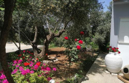 Alexander apartments - Foto 21