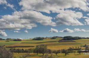 Matthis-Hof - Foto 25