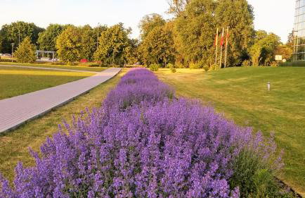 Wilanow Apartment - Foto 34