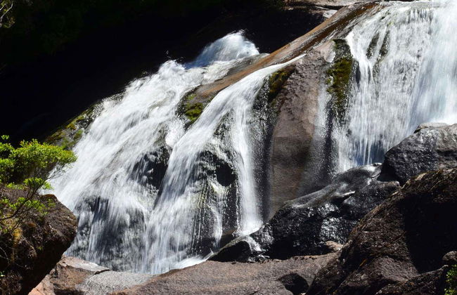 Excursión a Puerto Blest y Cascada de los Cántaros - Foto 2