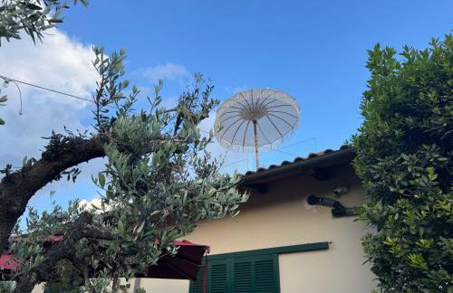 Panoramic Loft Artimino Tuscany - Foto 25