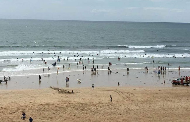 Camellia chalet - Photo 21