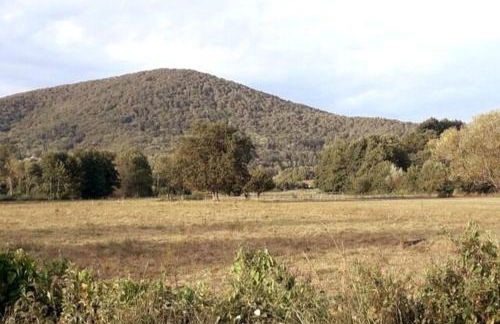 Au Repos du Fayé - Foto 13