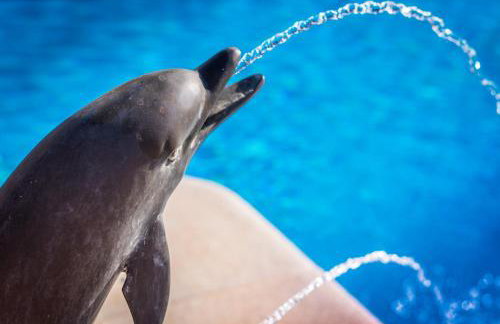 Villa El Ancla - Photo 18