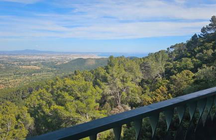 Finca Es Verger Coll de Tords - Photo 8