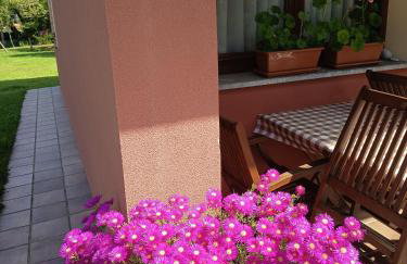 Apartamentos Rurales Llagumelon - Photo 62