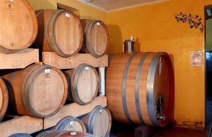 Ciabot delle Aie - Barolo - Foto 46