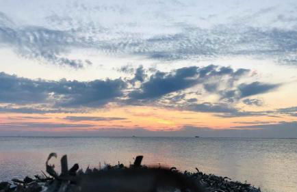 Villetta sul mare - Foto 47