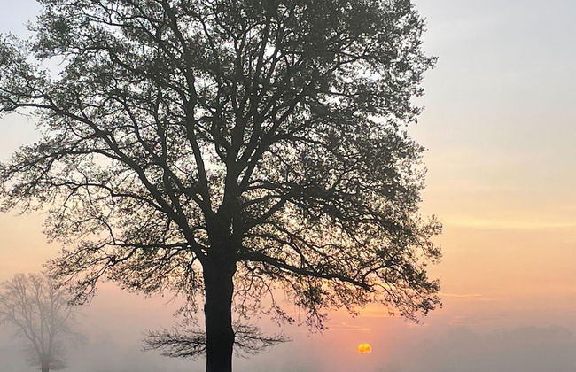 Beautiful Holiday Home With Swimming Pool - Foto 38