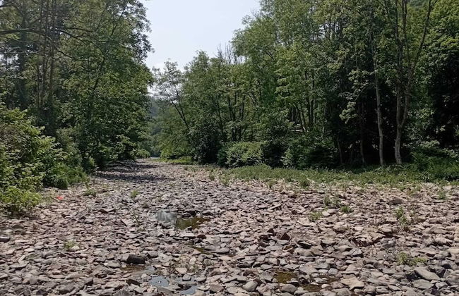 La Villa "les Pieds Dans L'eau" - Foto 46