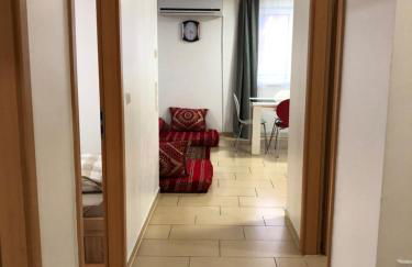 Sahara Falcon - Photo 90