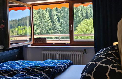 Ferienwohnung Tannenballett im Schwarzwald - Foto 15