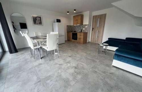 Domki i Apartamenty Wypoczynkowe z jacuzzi Lidzbark - Foto 71