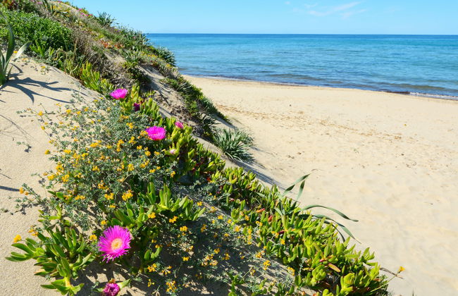 Villa Margherita - Photo 39